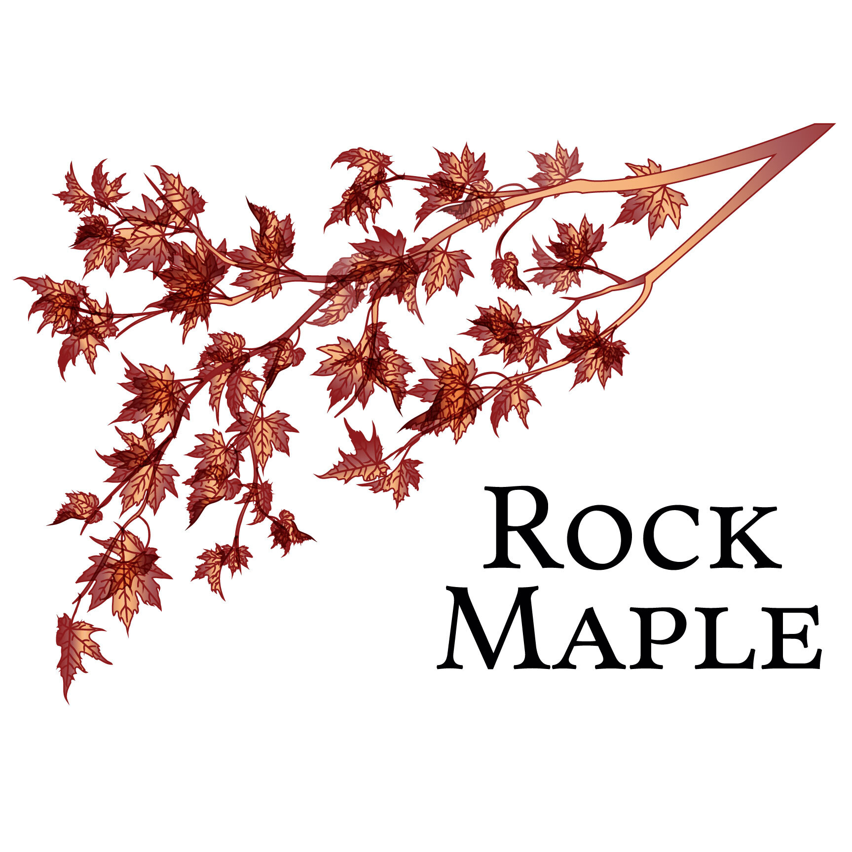 Rock Maple Mountain LLC
