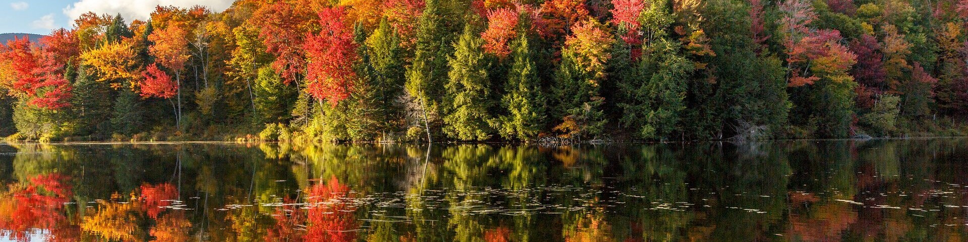 Changing Colors: Where to Stop and Shop When Leaf Peeping